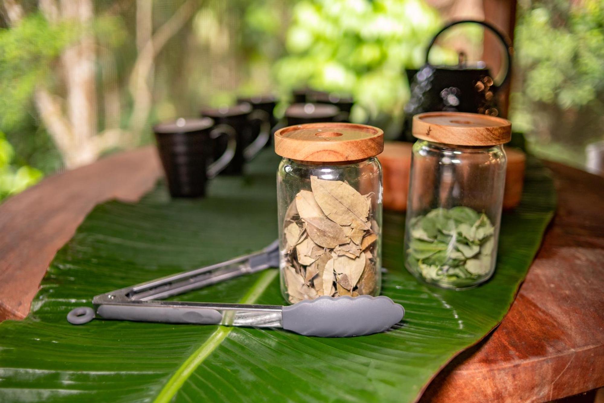 Awaken Amazonian Healing Resort All Inclusive Iquitos Kültér fotó