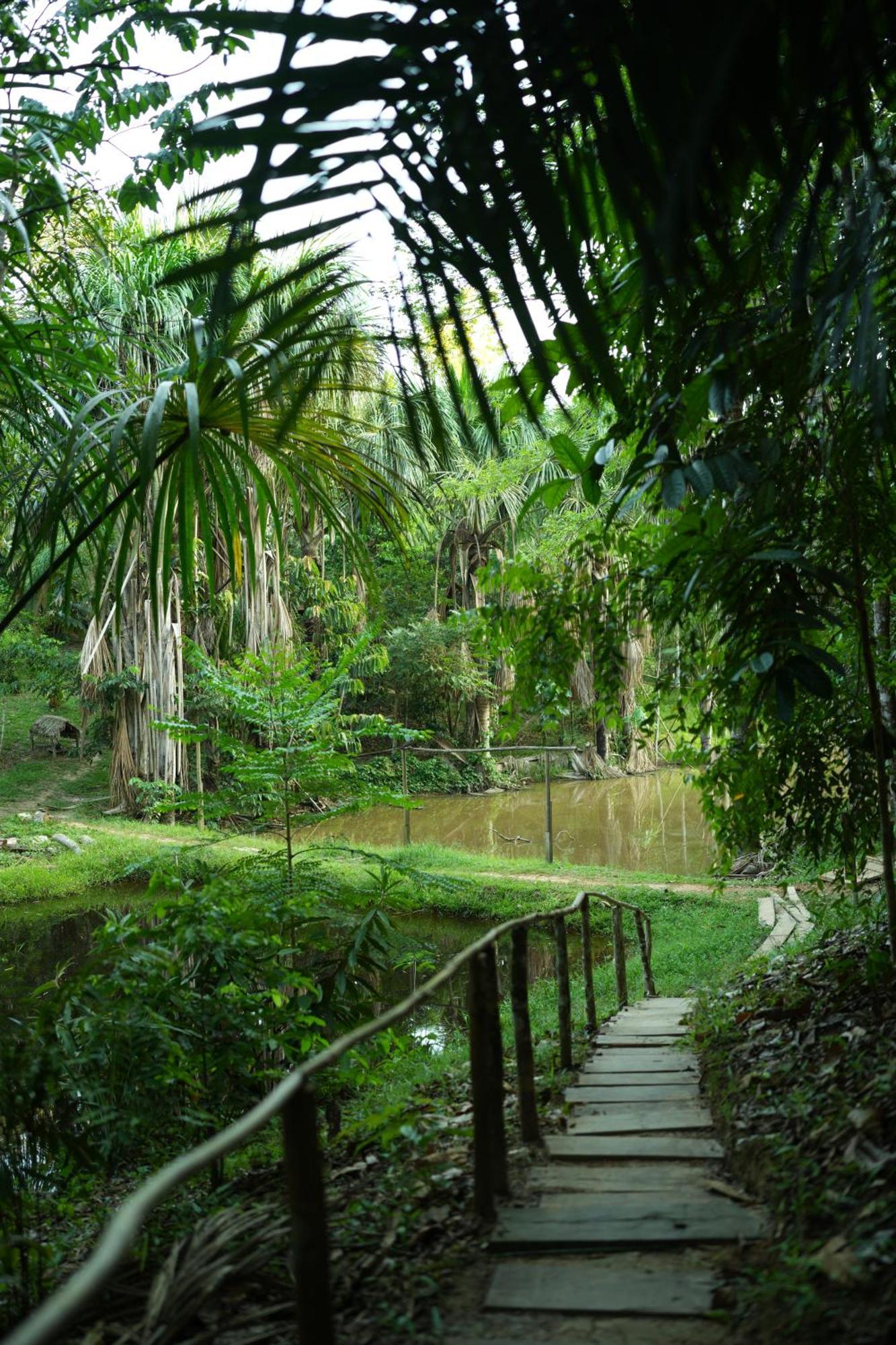 Awaken Amazonian Healing Resort All Inclusive Iquitos Kültér fotó