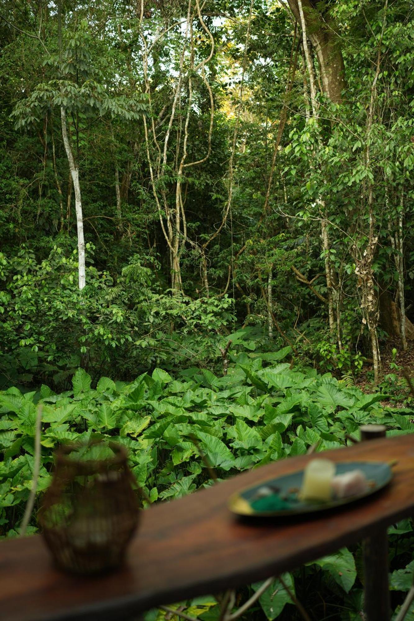 Awaken Amazonian Healing Resort All Inclusive Iquitos Kültér fotó